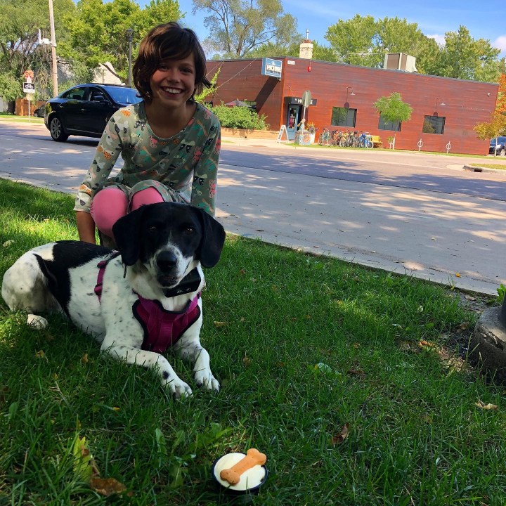 Howe Daily Kitchen & Bar Dog Menu | Minneapolis