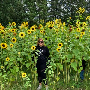 White Pine Berry Farms Sunflowers