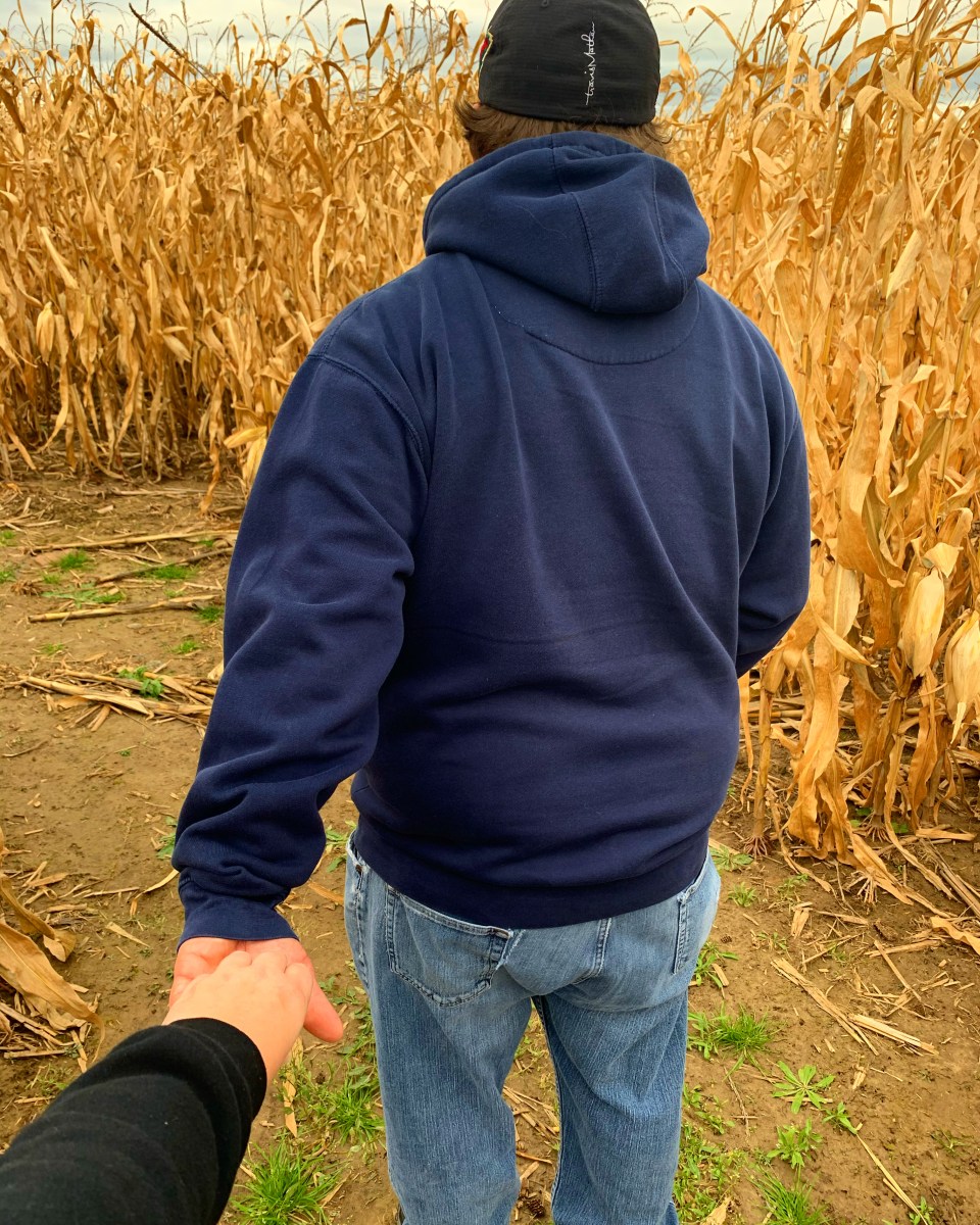 Have Ya Herd Corn Maze