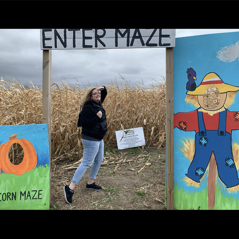 Have Ya Herd Corn Maze Hudson