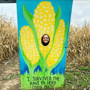 Have Ya Herd Corn Maze Exit