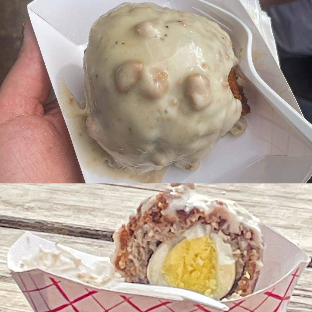 Minnesota Renaissance Festival 2024 Hipster Hack Food Review