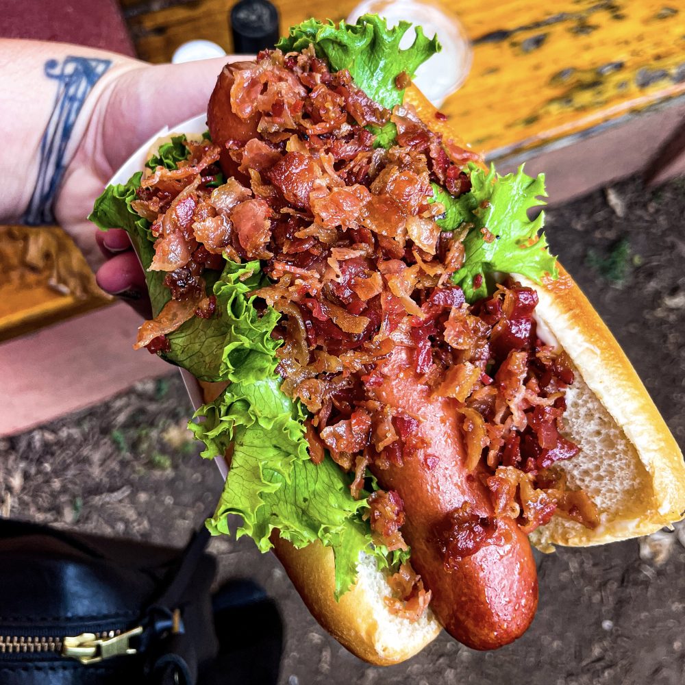 Minnesota Renaissance Festival 2024 Hipster Hack Food Review