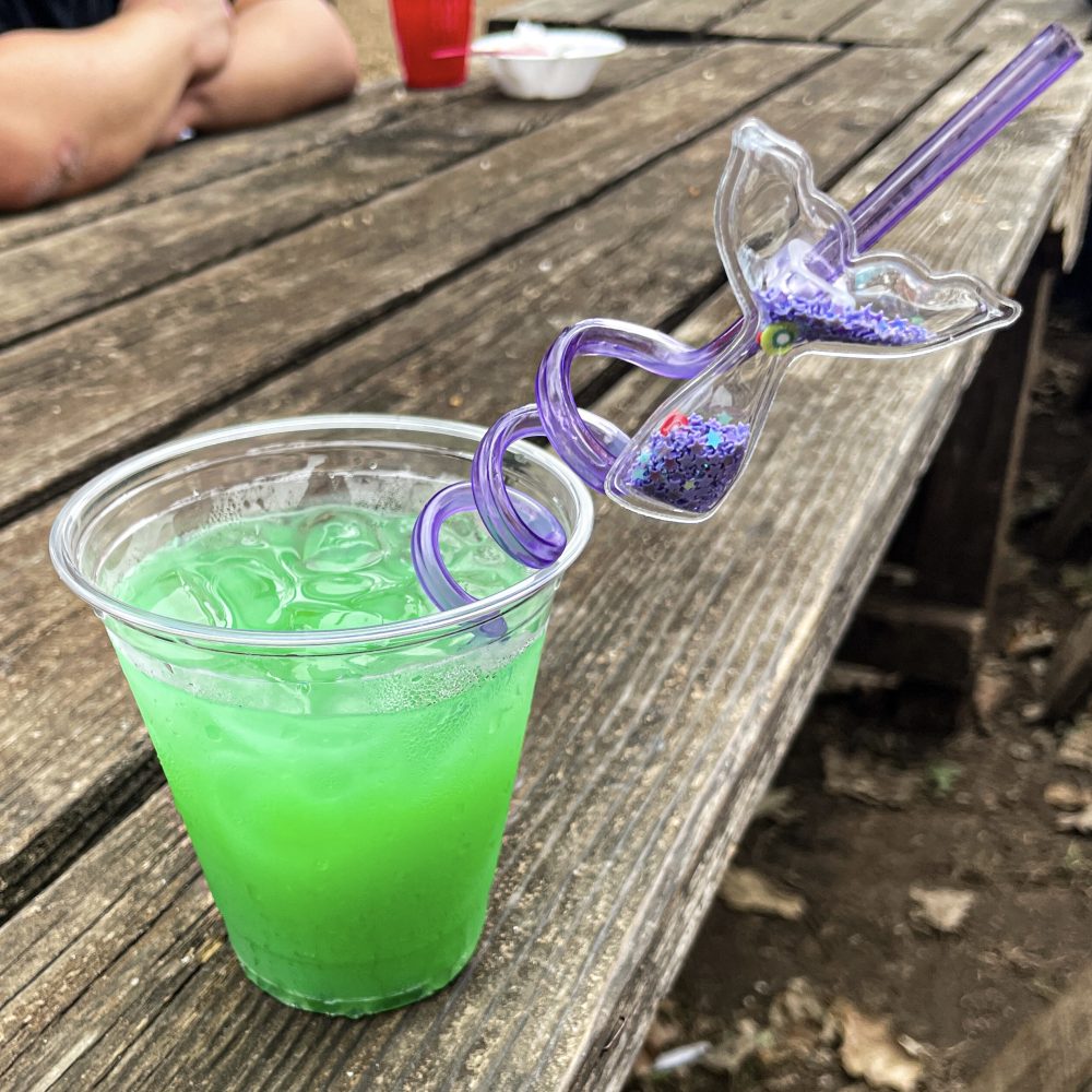 Minnesota Renaissance Festival 2024 Hipster Hack Food Review