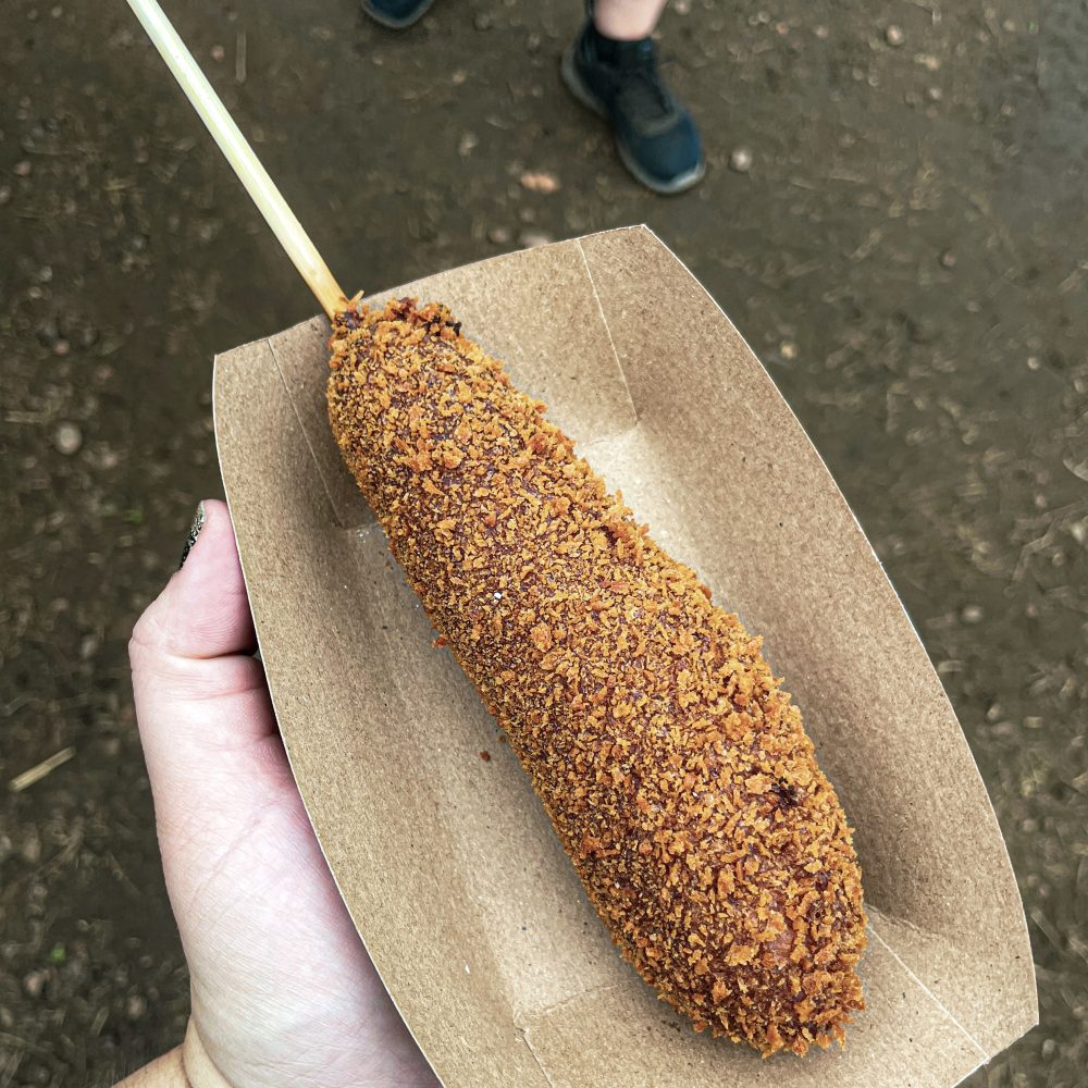 Minnesota Renaissance Festival 2024 Hipster Hack Food Review
