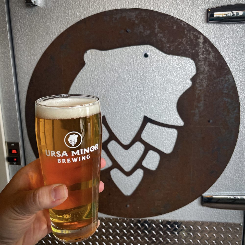 Duluth Minnesota Best Food and Drink Spot Reviews Hipster Hack